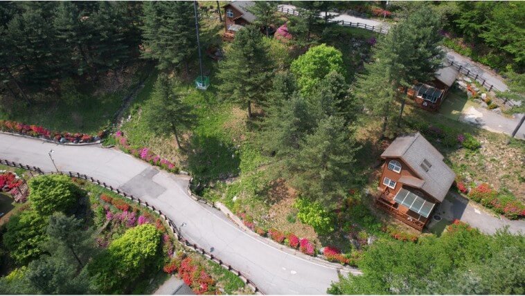 칼봉산자연휴양림의 여름사진