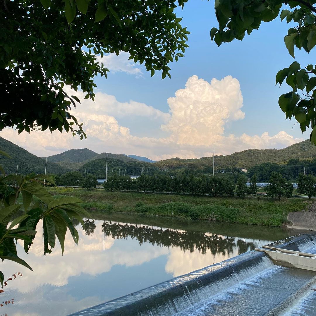 생방송오늘저녁 충북 영동 월류봉 둘레길 영동 곶감 넣은 곶감코코넛쿠키, 루나크림라떼, 영동 복숭아 요거트 푸딩 샌드위치 디저트 카페 맛집 추천