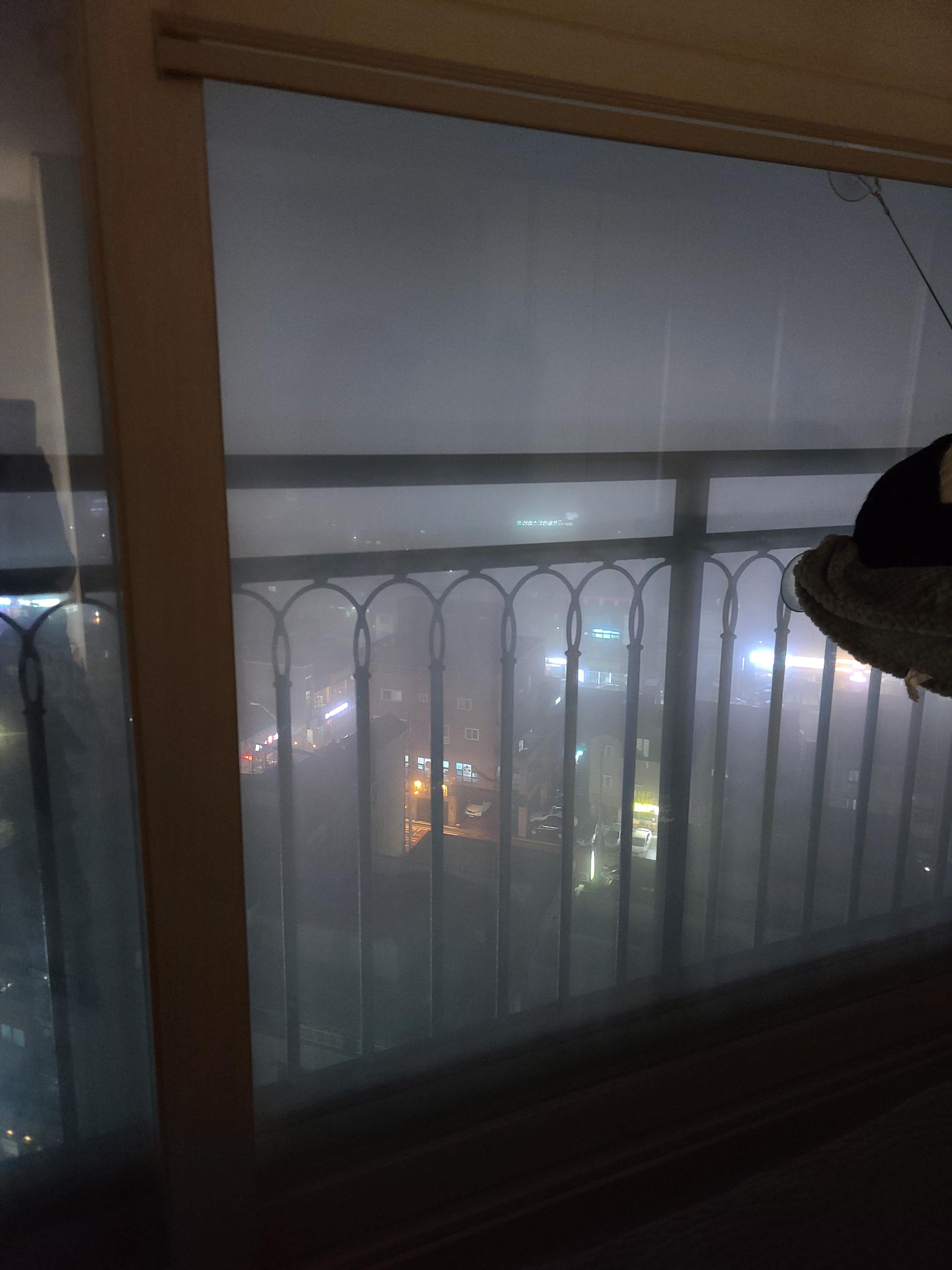 센티한 건이 모음.. (feat. 문화생활 즐기는 고양이 건이)