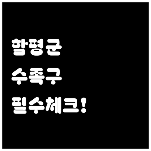 함평군 수족구 증상별 병원 선택 체크..