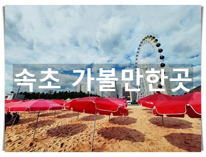 속초1