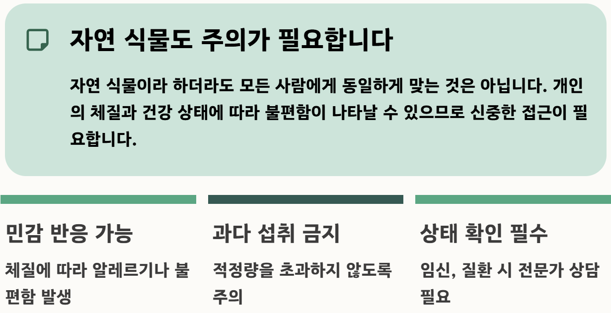 감태나무의 효능 열매 차 기름