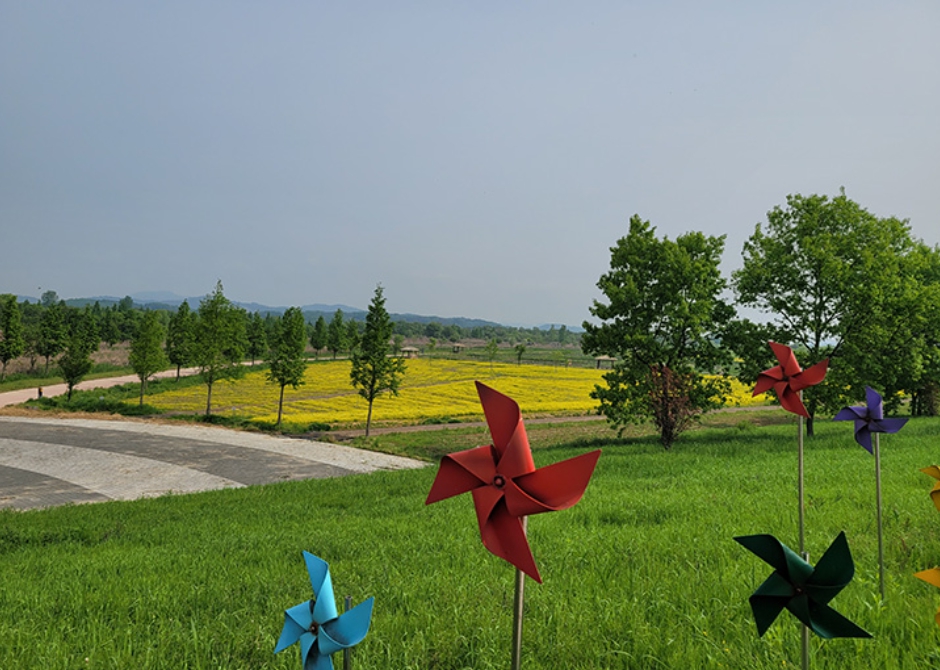 전북 6월 꽃구경 가볼만한곳 베스트 10&amp;#44; 갈만한 축제 여행지 추천