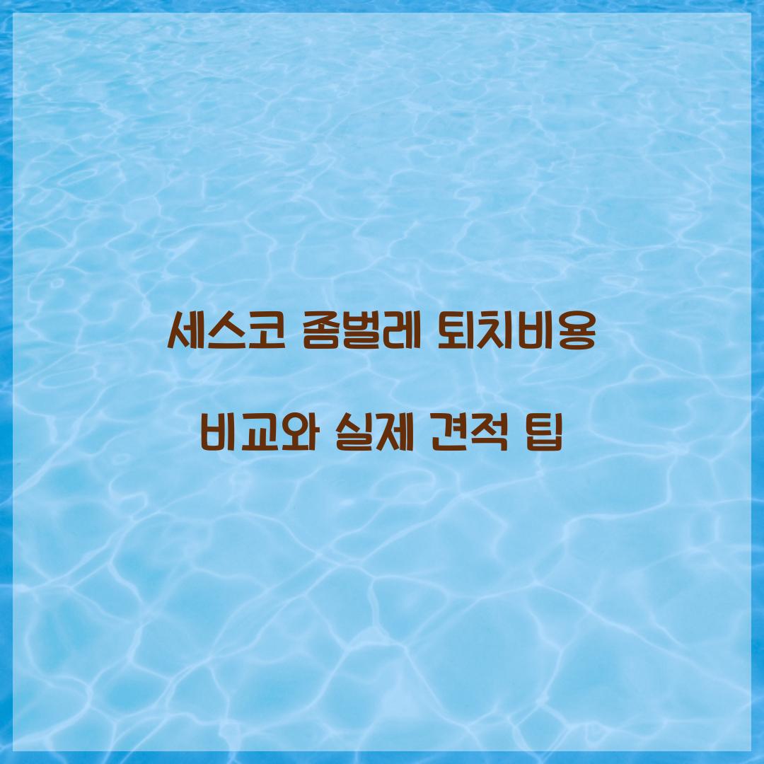 세스코 좀벌레 퇴치비용
