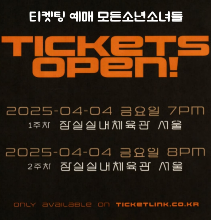 2025 잔나비 콘서트
