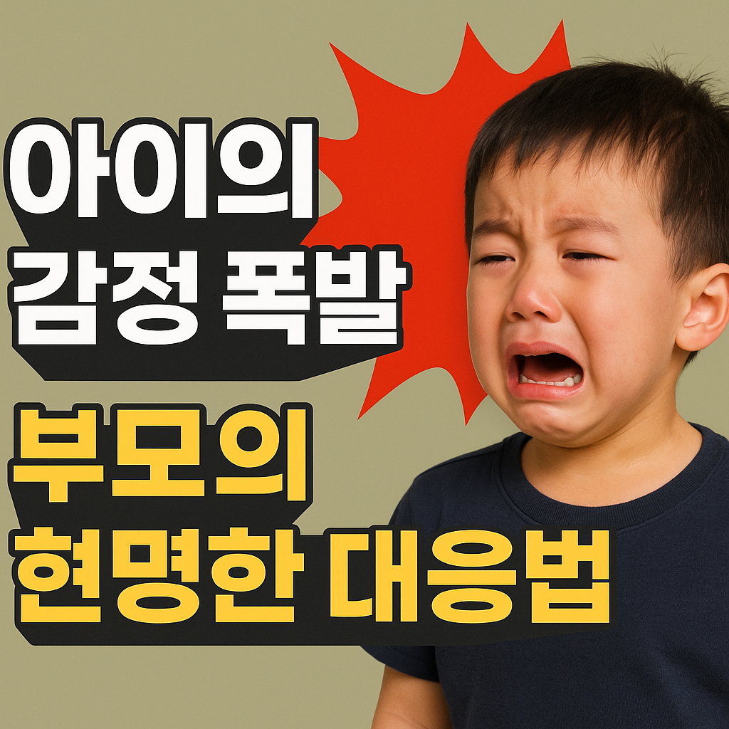 아이의 감정 폭발시 부모의 대응법