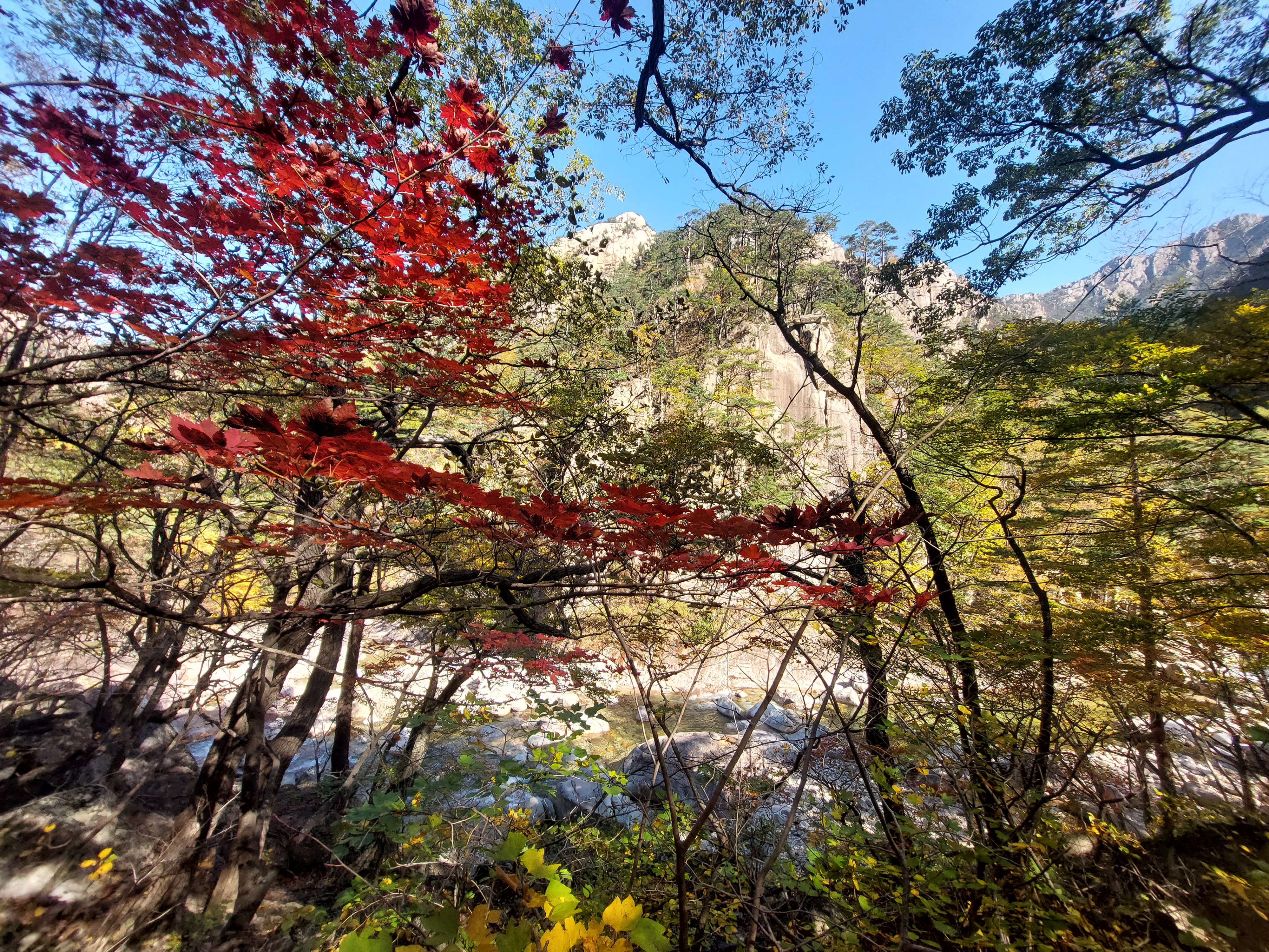설악산