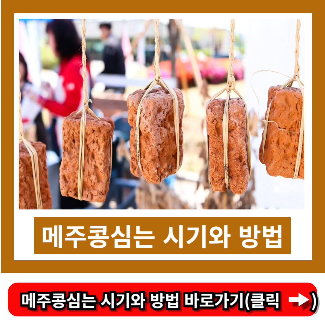 메주콩심는 시기와 방법