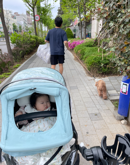 쿨시트 장착한 유모차 탑승한 아기와 반려견