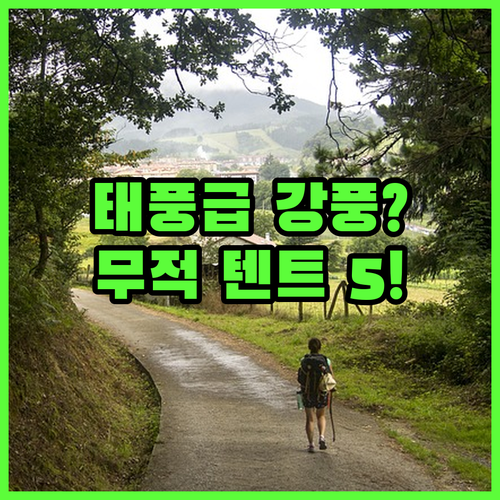 강풍에 강한 백패킹 알파인 텐트 추천..