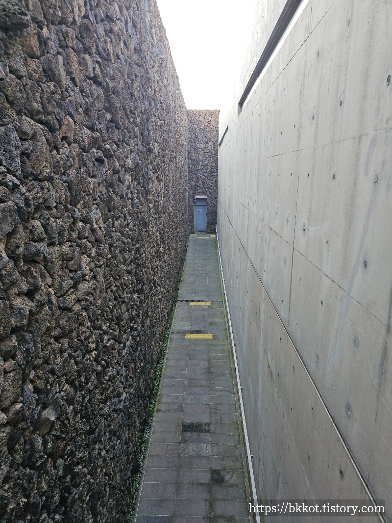 제주도 유민미술관