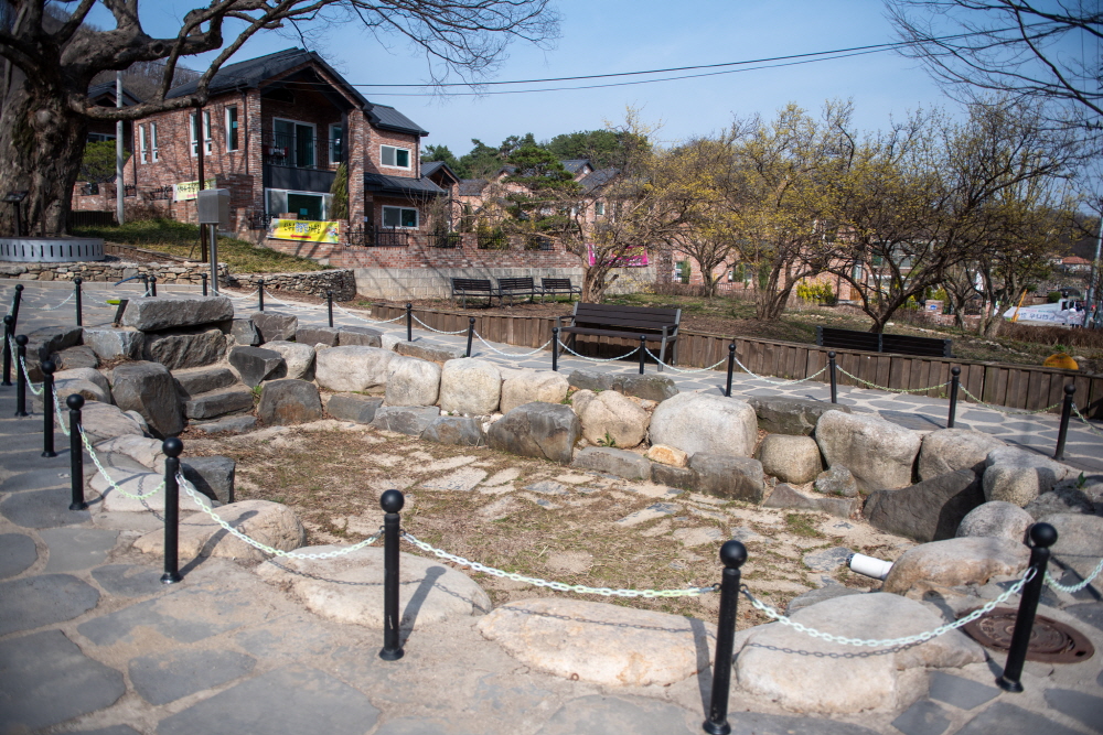 제26회 이천백사산수유꽃축제 일정 & 프로그램 안내/ 주차 안내