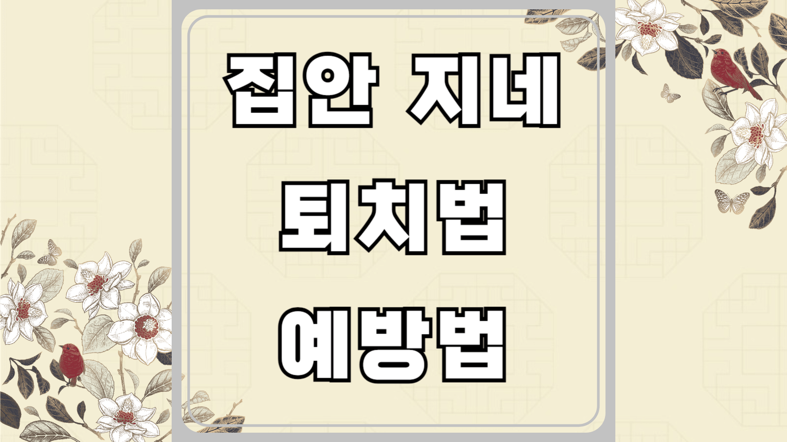 집안 지네 퇴치법과 예방법