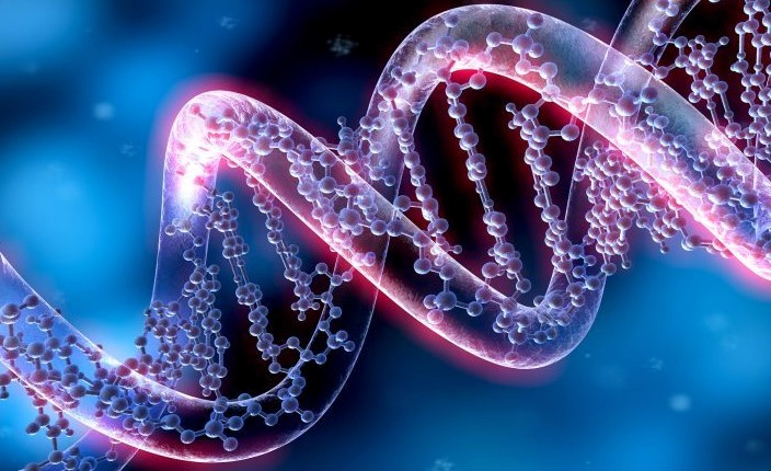 탈모 유전 확률 및 모계유전