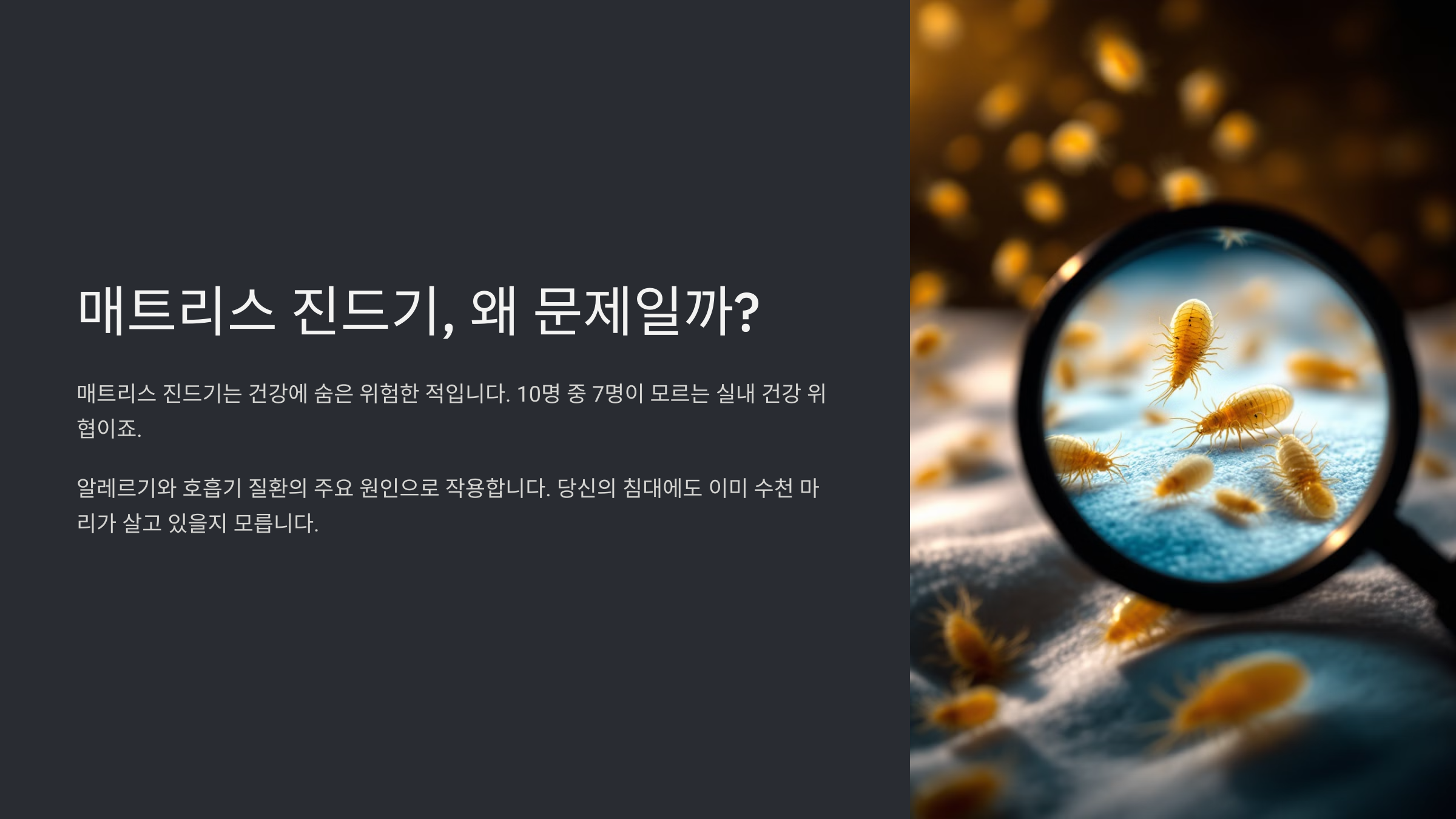 매트리스 진드기, 왜 문제일까