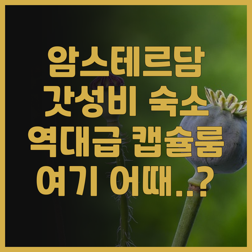 시티허브 암스테르담 감각적인 캡슐룸 ..