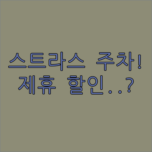 장거리 여행 주차 걱정 끝 스트라스부..