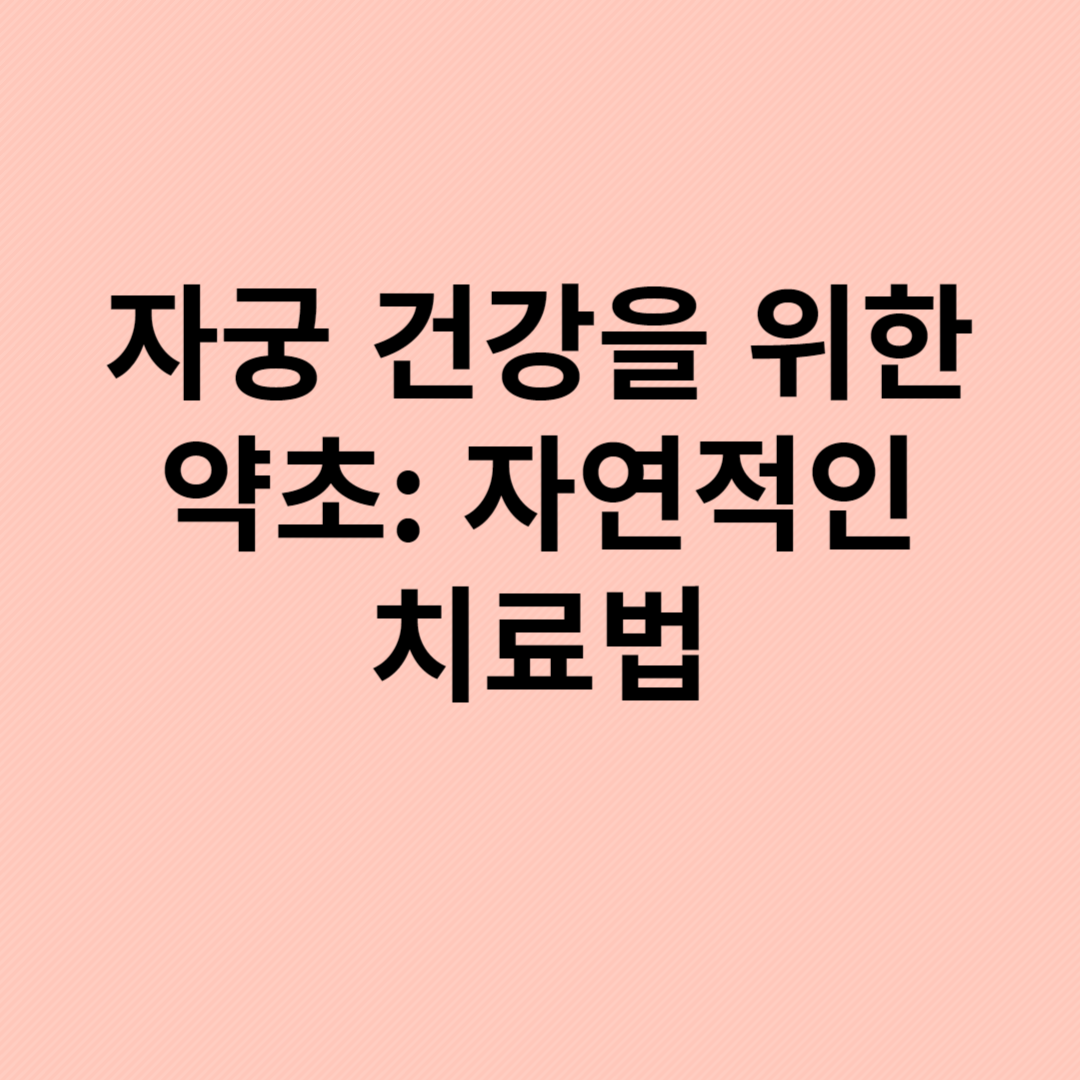 자궁건강,자연 치료법,붉은 산딸기,비텍스,동 콰이,