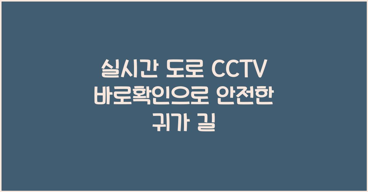 실시간 도로 cctv 바로확인