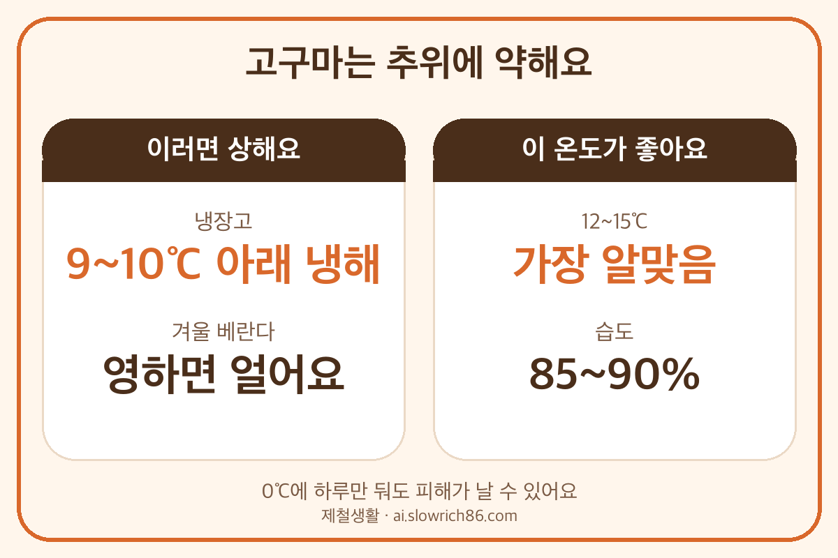 고구마 보관 온도 12~15도 냉해 9~10도 냉장고 보관 안 됨