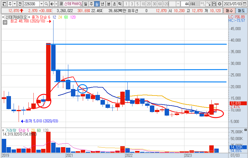 7월 21일 신테카바이오 주가 월봉 차트 분석