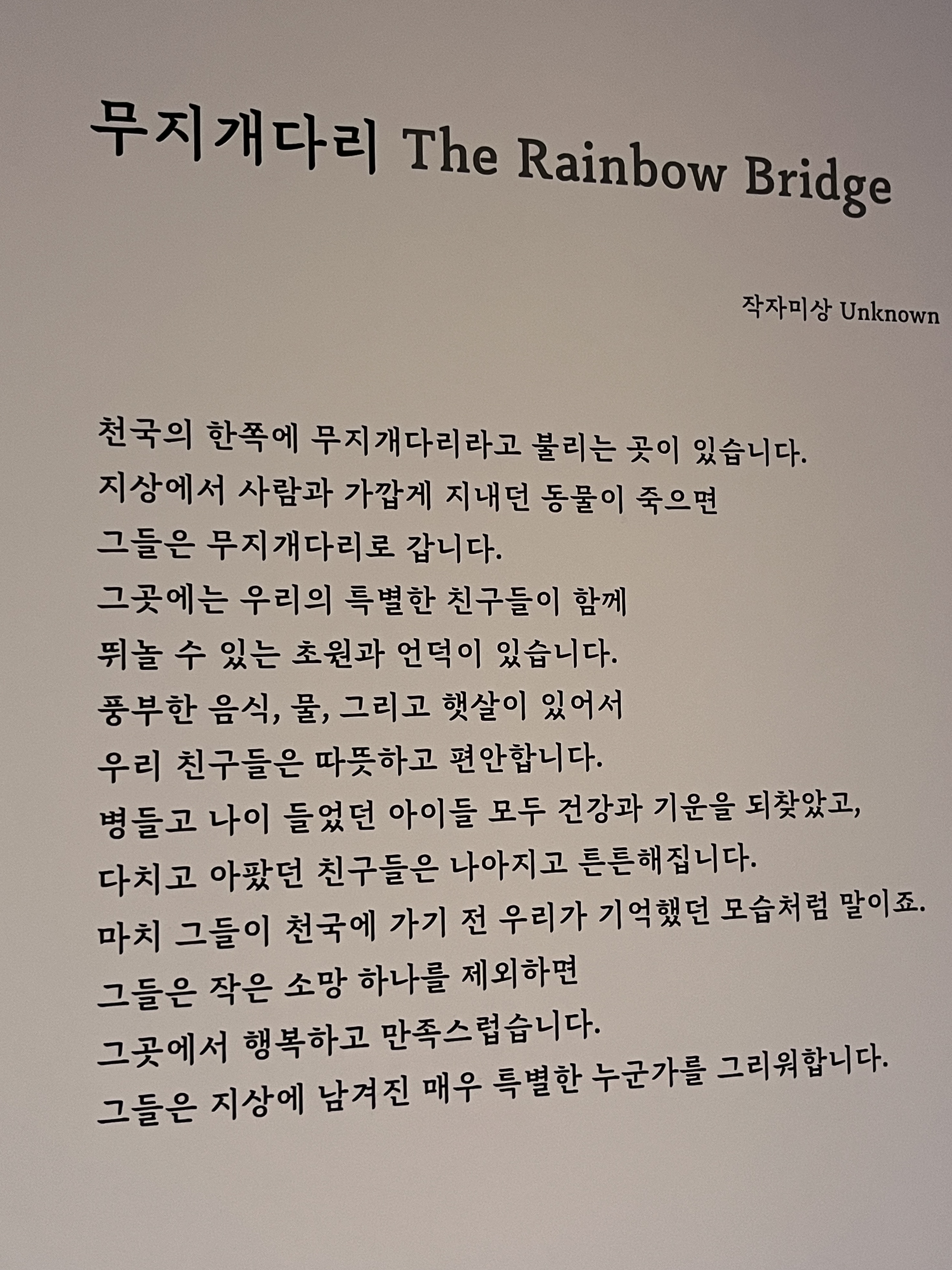 요물 우리를 홀린 고양이