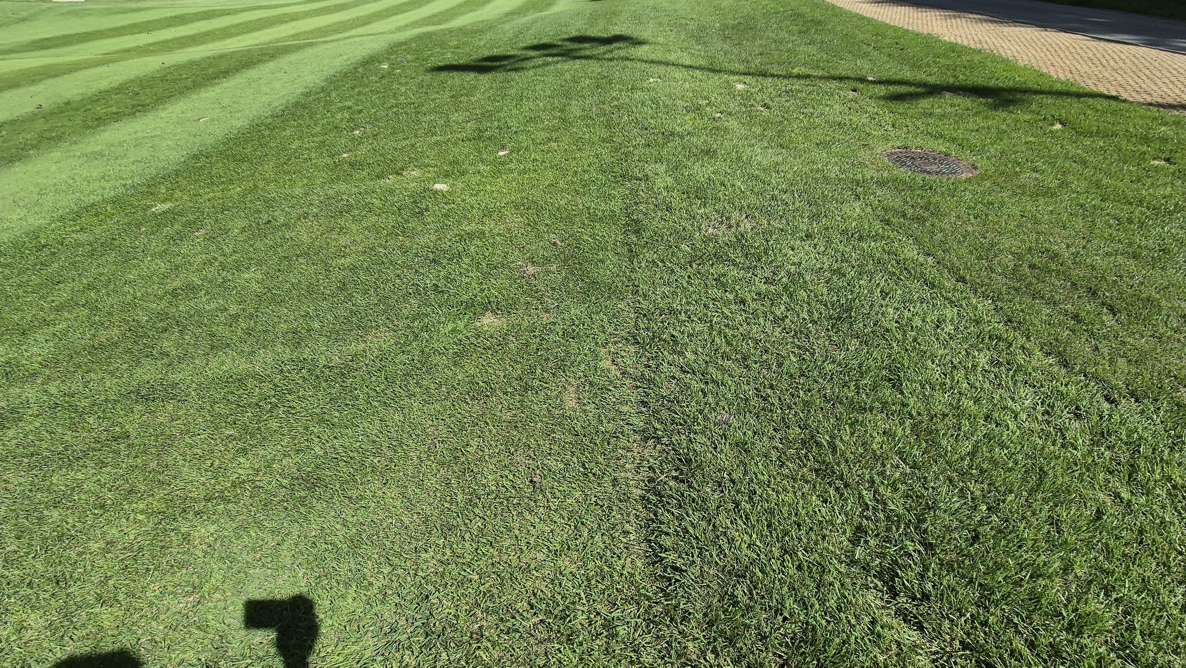 오크힐스cc 코스관리 상태