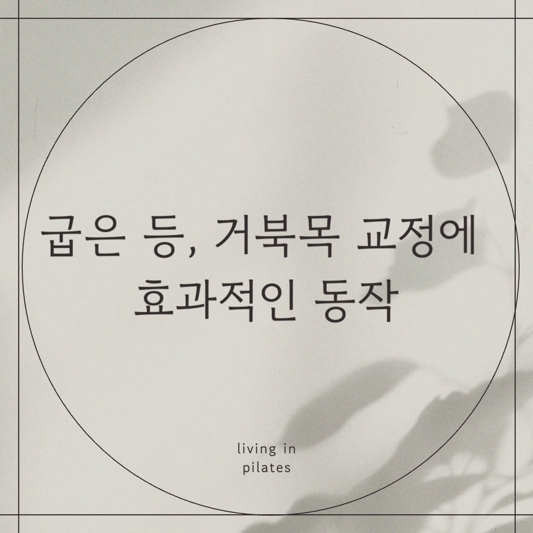 굽은 등, 거북목 교정에 효과적인 동작