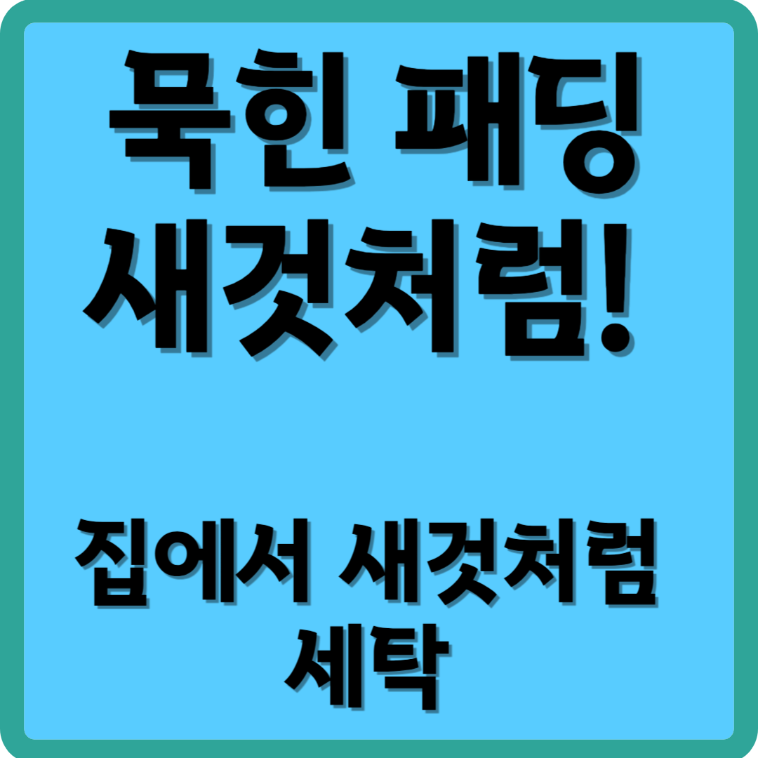묵힌 패딩 새것처럼! 집에서 새것처럼 세탁