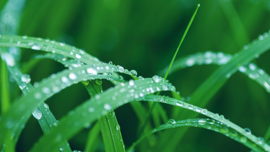 계절의 변화를 세분화한 24 절기 중 '한로' 이해하기