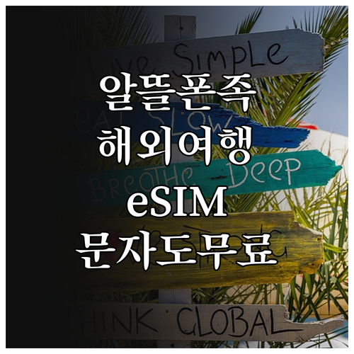 알뜰폰 유저 해외여행 eSIM 사용법..