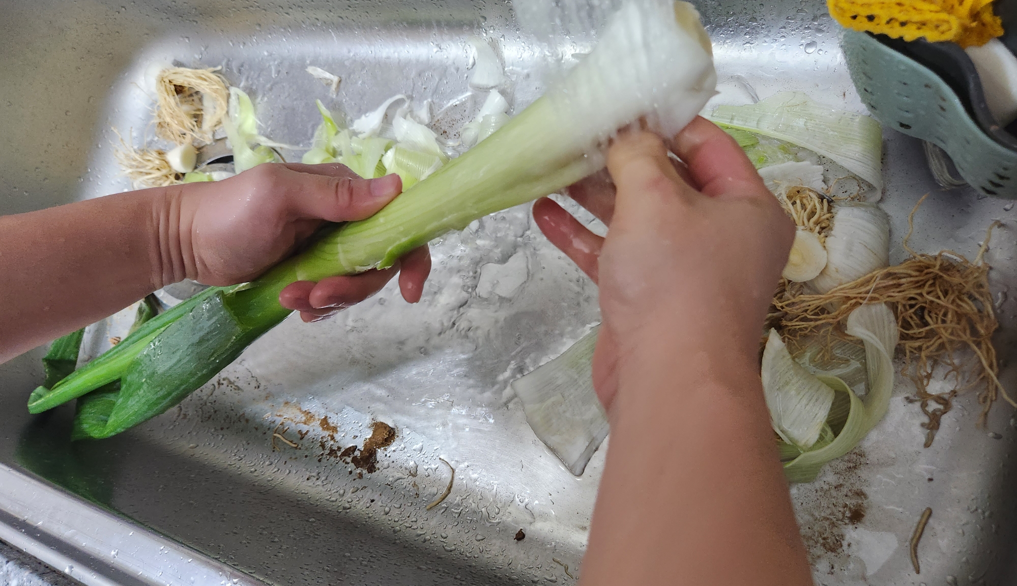 대파 보관법&amp;#44; 대파 효능에 대해 확실히 알려드릴게요. 냉동보관법