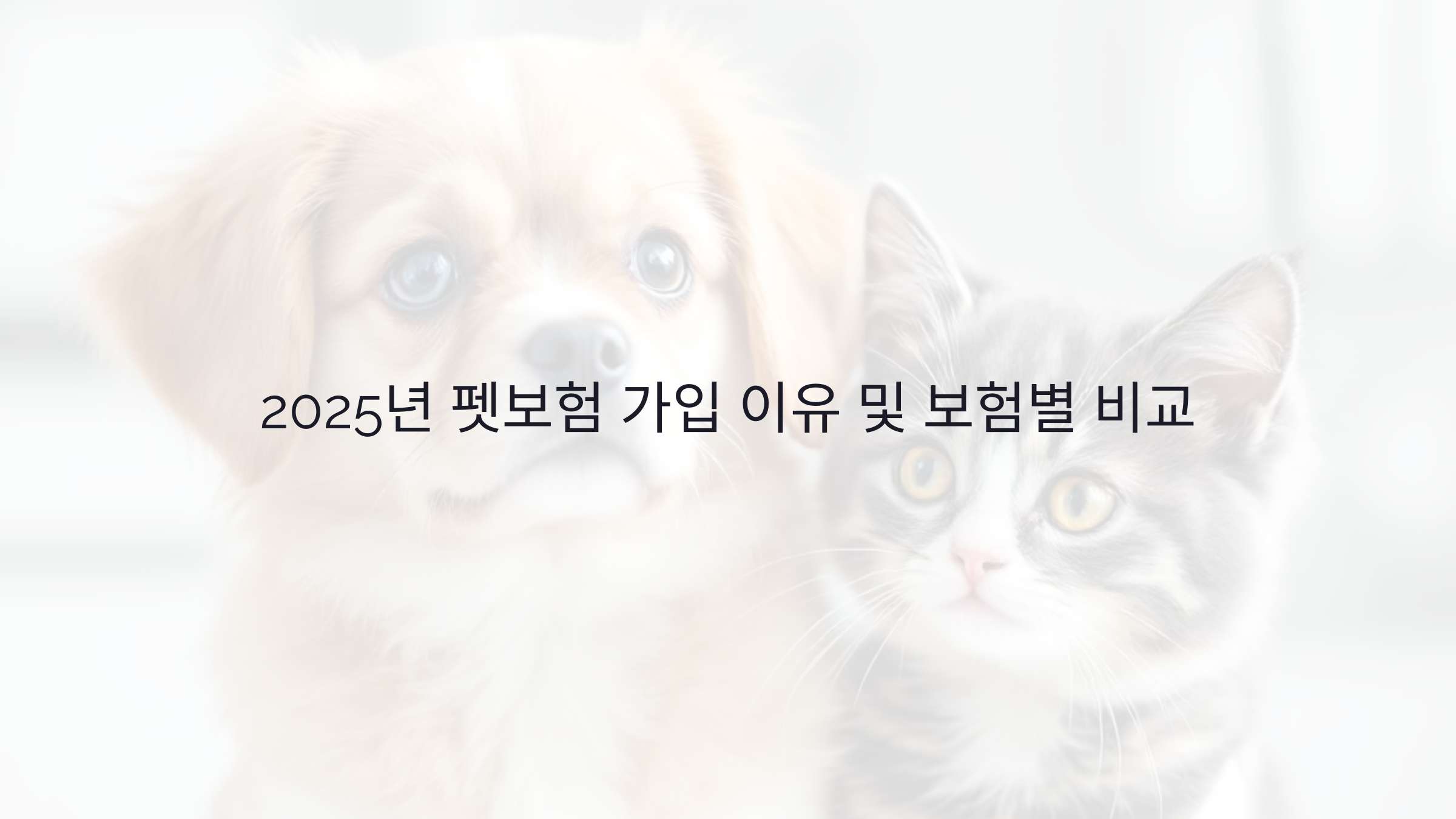 2025 펫보험 가입해야 하는 이유와 보험별 비교