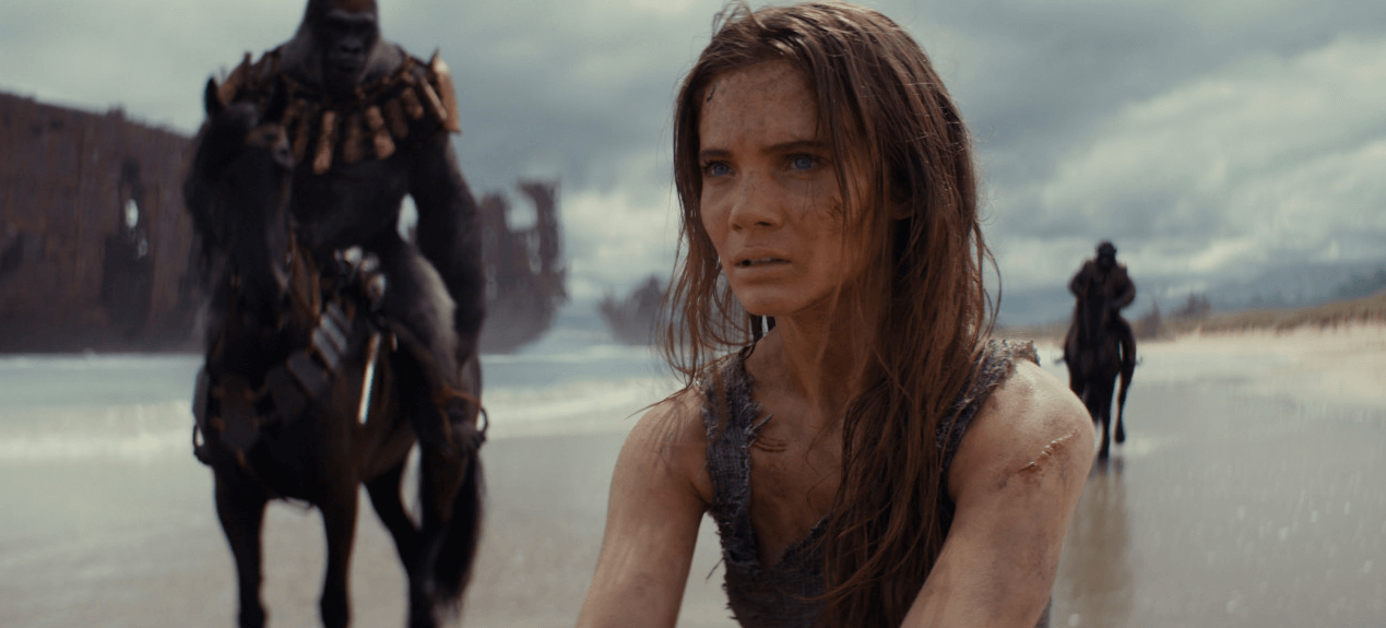 5월 개봉예정 영화