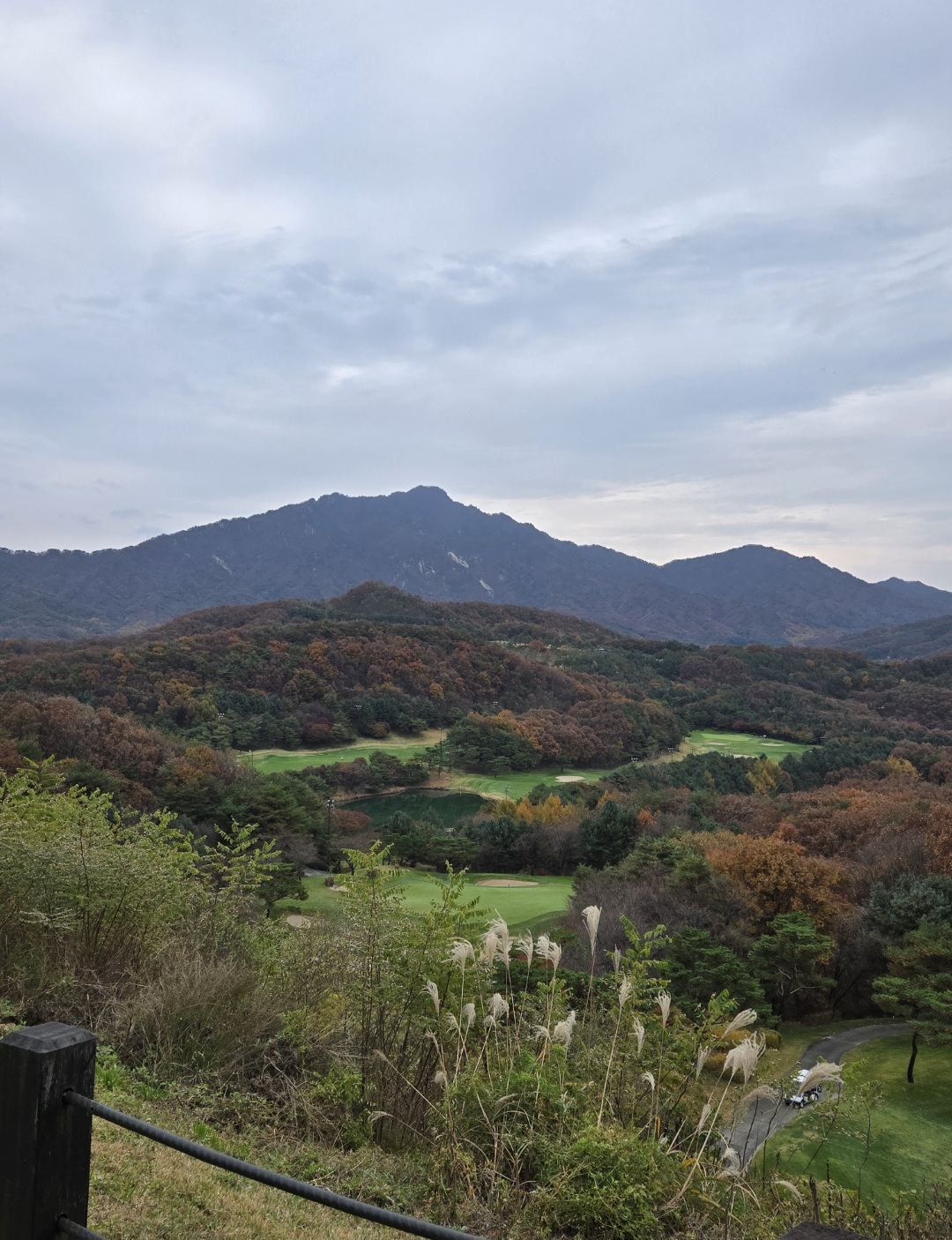 단풍과 갈대가 어우러진 코스