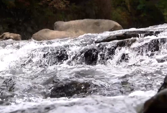 한탄강 주상절리길2