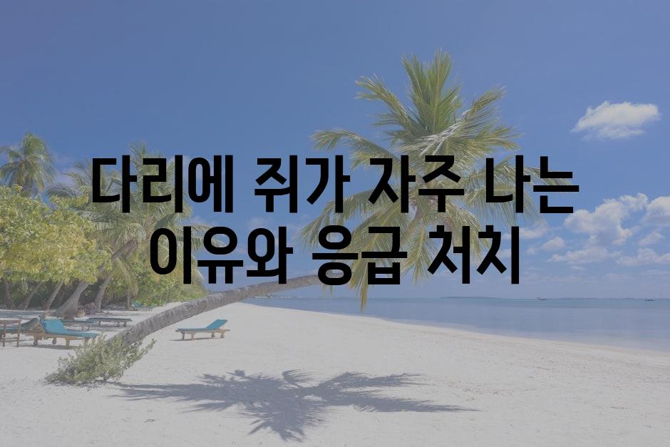 샘플 (79)