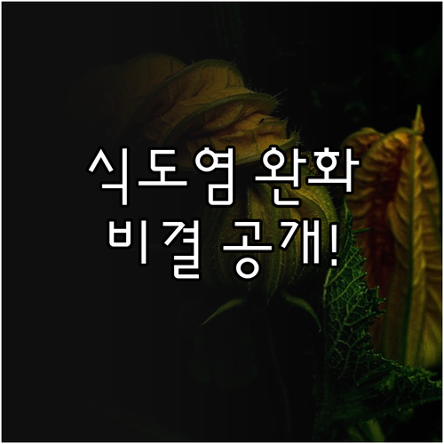 역류성 식도염 완화하는 저자극 식단 ..