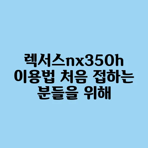 렉서스nx350h 이용법 처음 접하는 분들을 위해