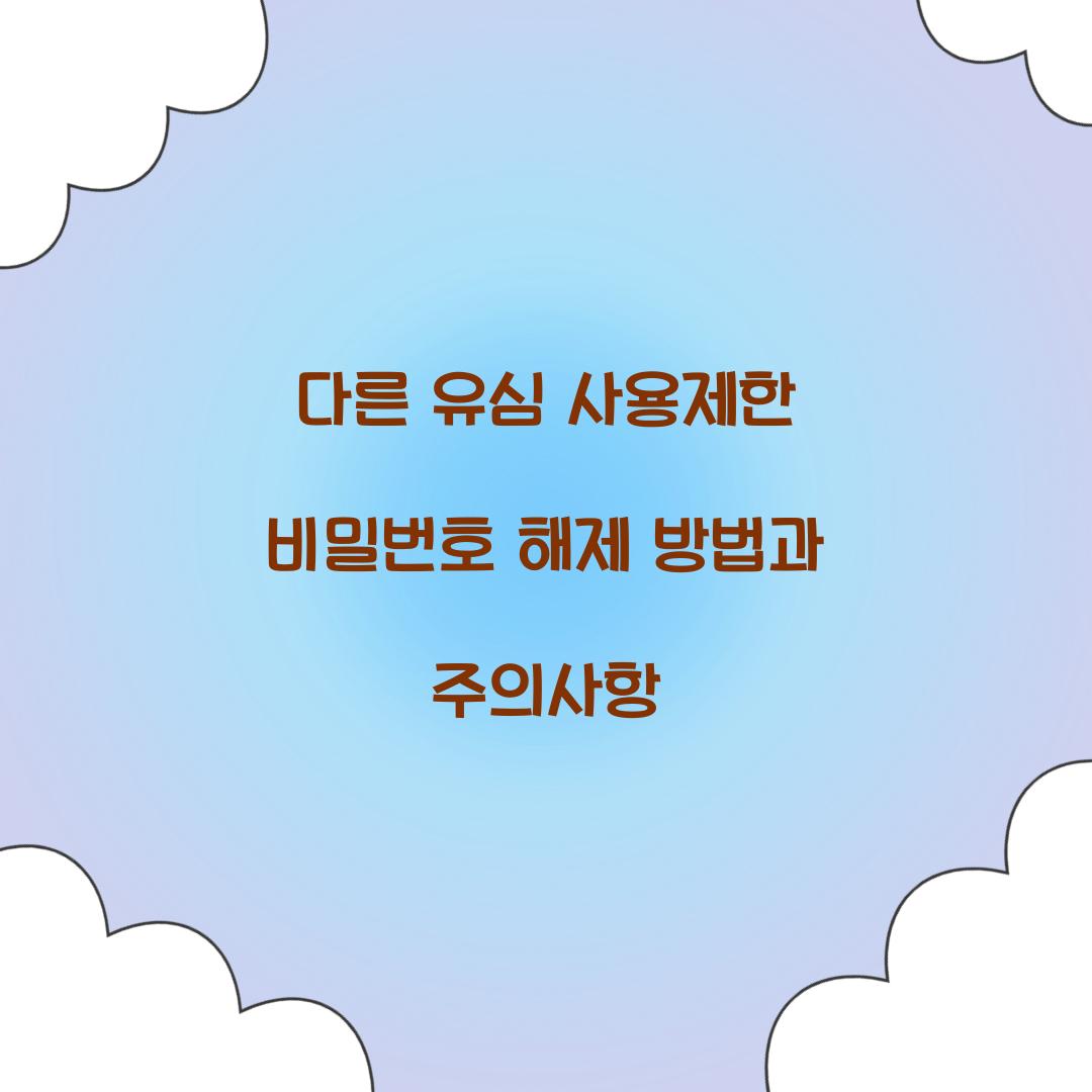다른 유심 사용제한 비밀번호