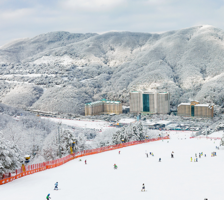 홍천 비발디파크