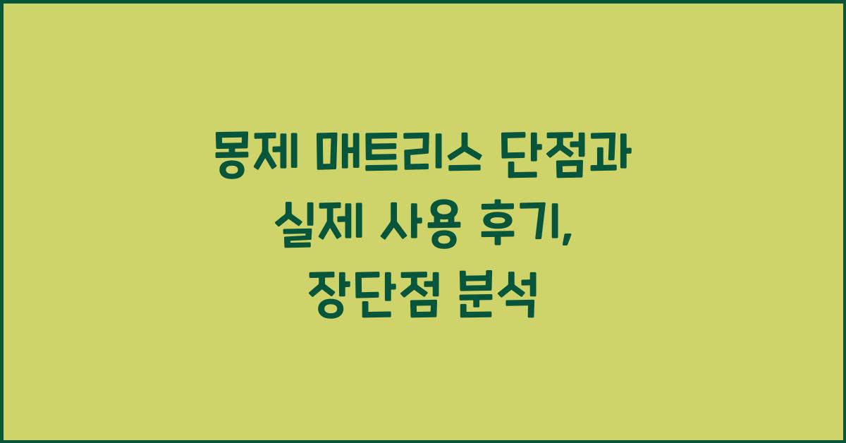 몽제 매트리스 단점