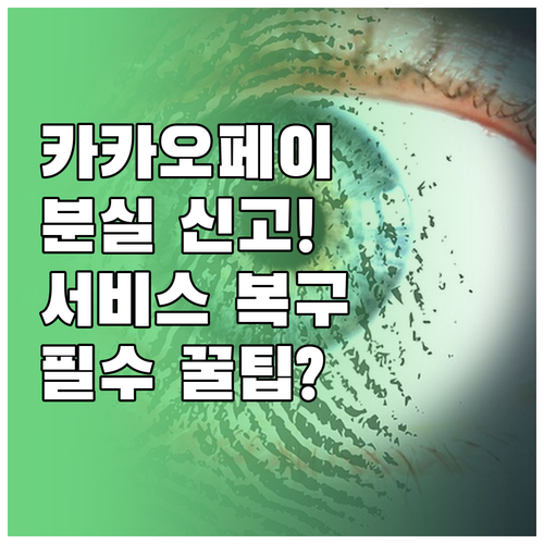 카카오페이 금융안심센터 전화 분실 신..