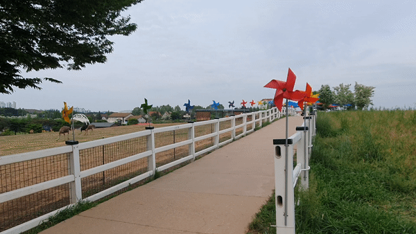 안성 팜랜드 바람개비