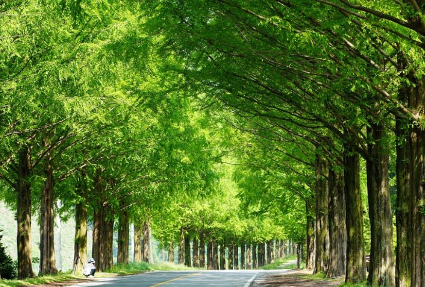 영광 가볼만한곳 베스트10