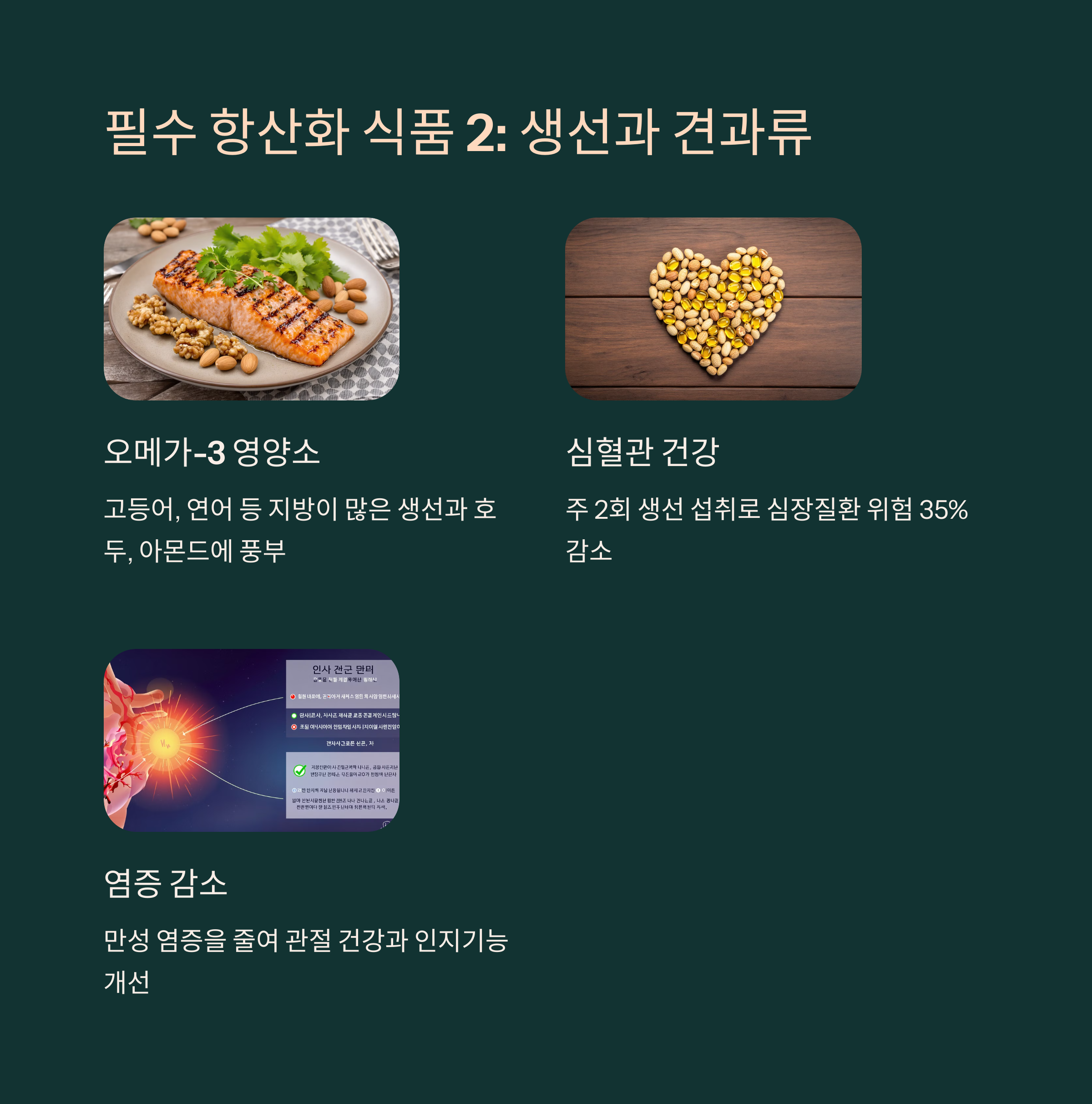 항산화 식품