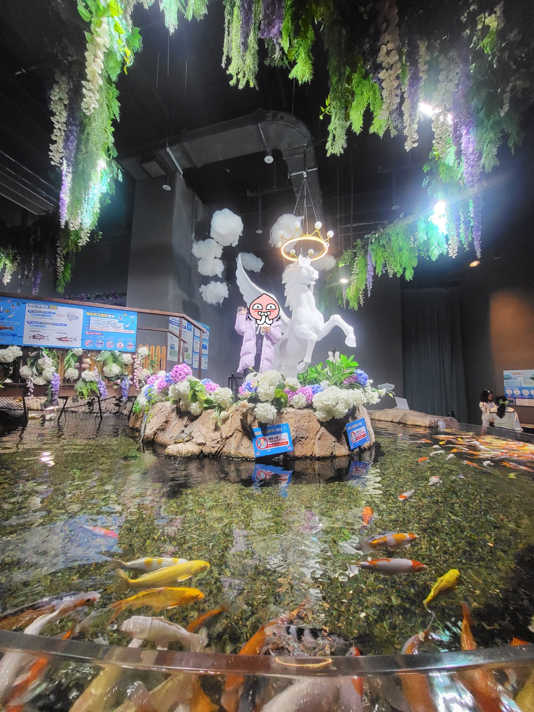 대전 아이와 가볼만한 곳&amp;#44; 신세계 아쿠아리움!(입장권/공연/체험)