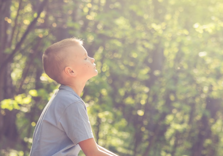 비타민 D 와 칼슘