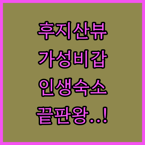 후지산 뷰부터 가성비까지 시즈오카 호..