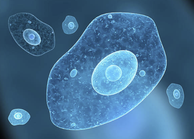 Single-cell multi-omics (scRNA + scMetabolomics) 융합 분석 &ndash; 종양 이질성 해석